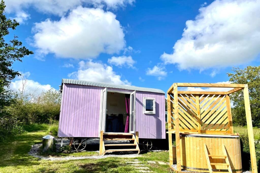 Lilac Tree Hut Tenby Exteriör bild